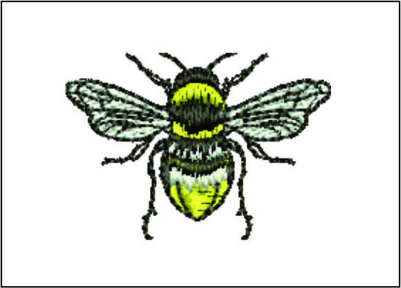 Bee Detailed Embroidery Design