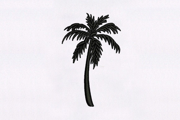 Stunning Palm Tree Review